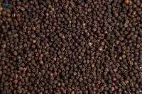 Black Pepper