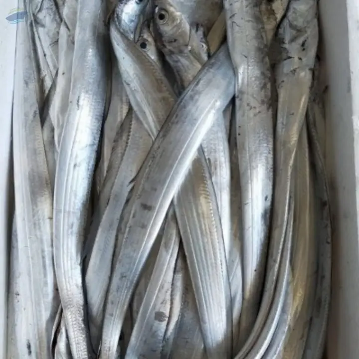 Ribbon Fish