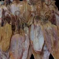 Dry Squid