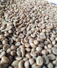 Robusta Coffee Bean