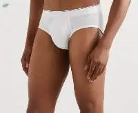 Mens Briefs