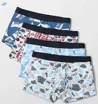 Mens Boxer Briefs-Trunks(Innerwear)