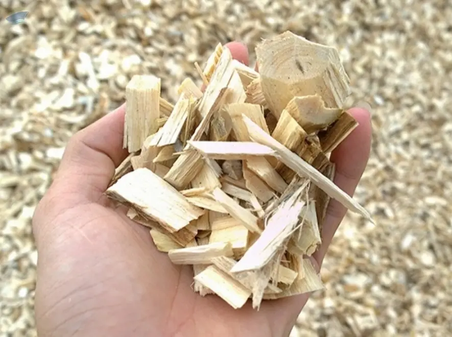 Wood Chips (Viet Nam)