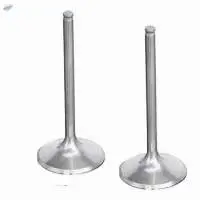 Engine Valve Set