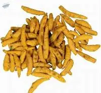 Turmeric Fingers