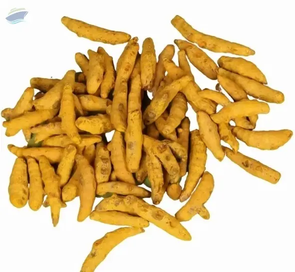 Turmeric Fingers