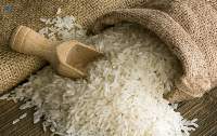 Rice