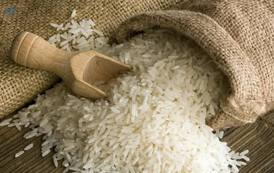Rice
