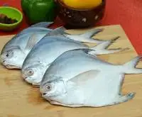 Marine Products