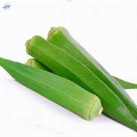 Okra