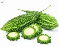 Bitter Gourd