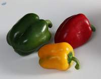 Bell Peppers