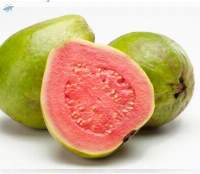 Guava
