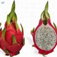 Dragon Fruit