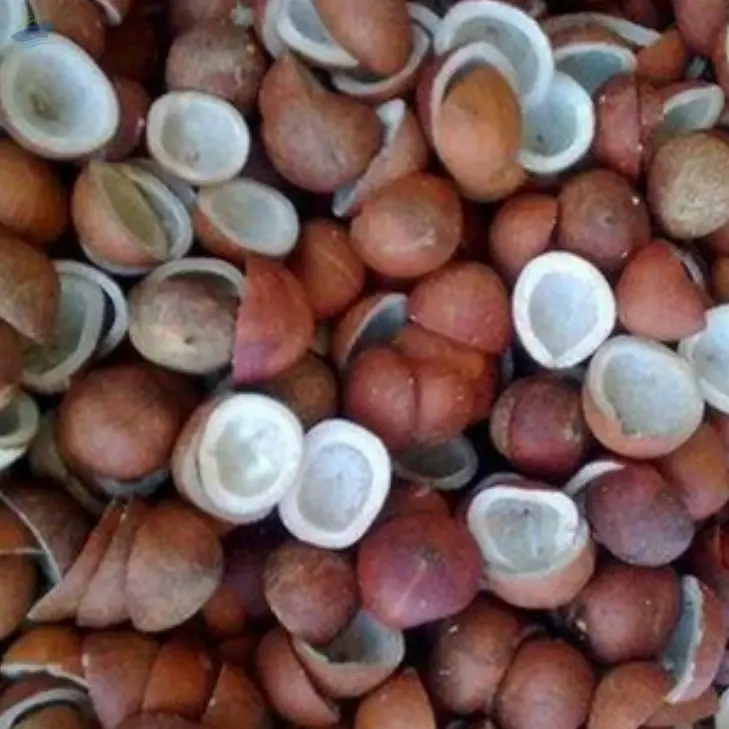Dried Coconut /Copra
