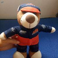 Teddy