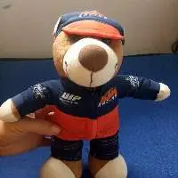 Teddy
