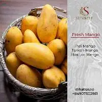 Fresh Mango from Vietnam