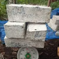 Gum Lateks Resin