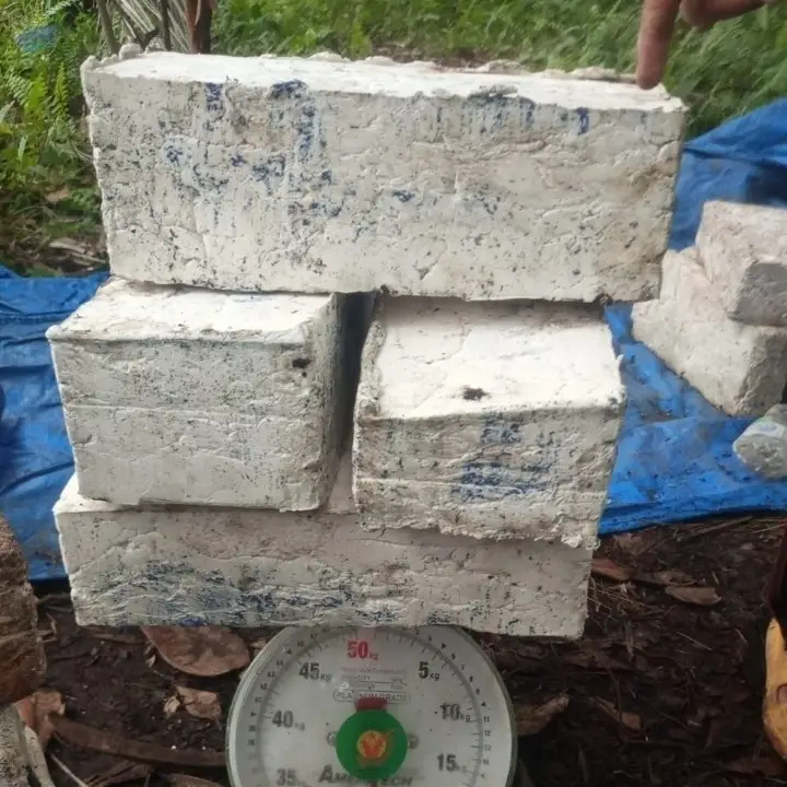 Gum Lateks Resin