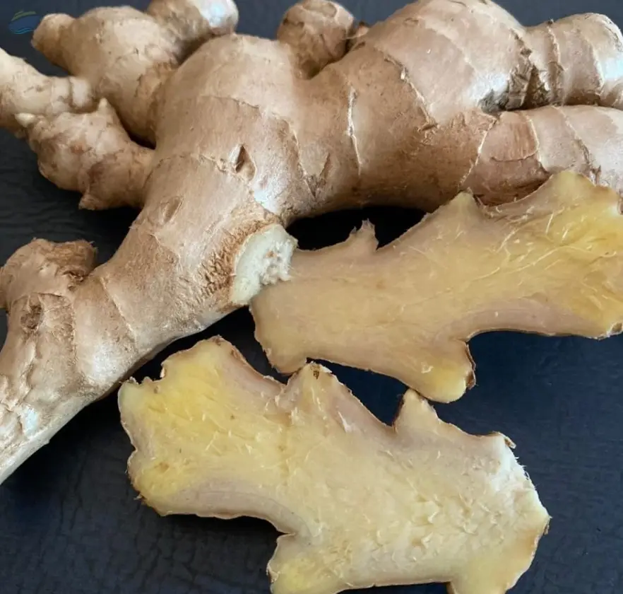 Ginger