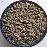 Arabica, Robusta, & Liberica Coffee Beans