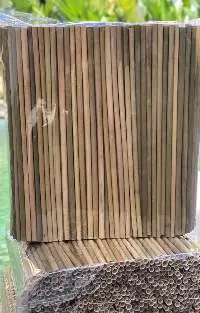 Disposable Straws