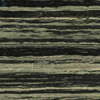 Exotic Bamboo Quartzite