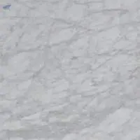 Carrara Honed Marble