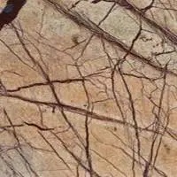 Rainforest Marble