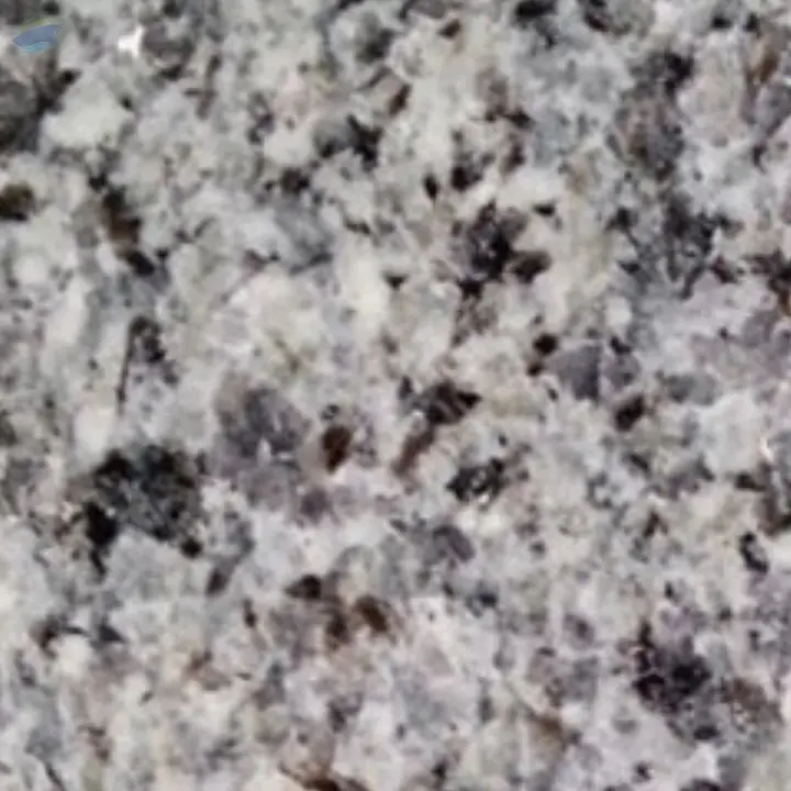 Azul Platino Closeup Granite