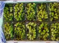 Grapes