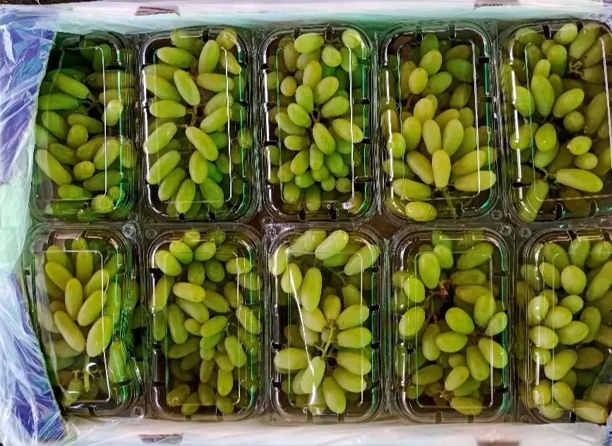 Grapes