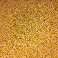 White mustard seeds