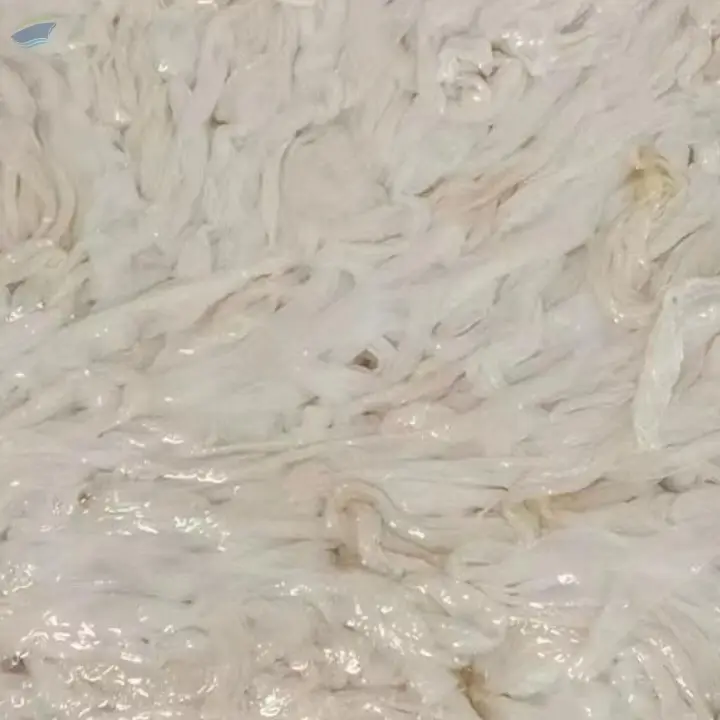 Pig Intestines