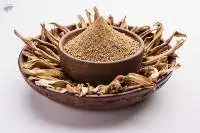 Dried Mango Powder (amchoor Powder)