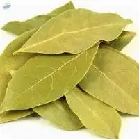 Bay Leaf (tej Patta)