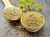 Coriander Powder/seeds