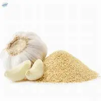 Garlic Powder
