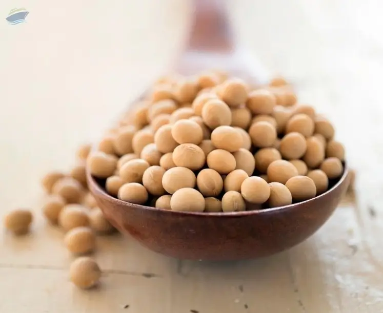 Soyabeans