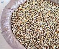 Green Millet (bajra)