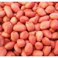 Java Peanuts (Spanish)