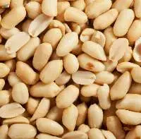 Roasted Blanched Peanuts