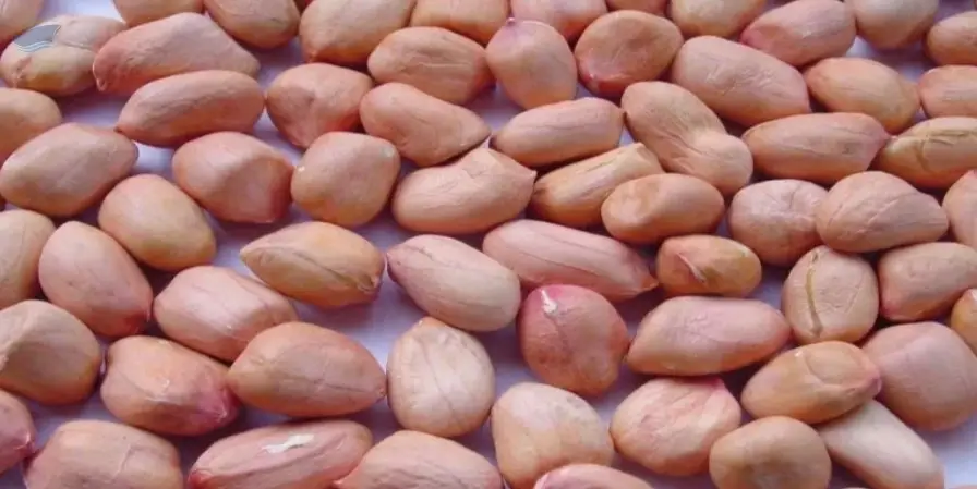 Tj Peanuts