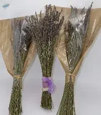 Heartland Lavender