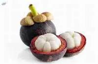 fresh mangoesteen fruit