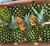 Pineapple