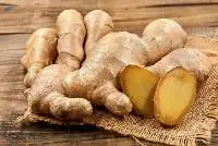 fresh Ginger
