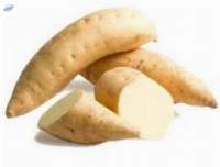 honey sweet potato (cilembu)