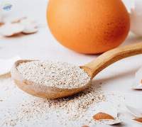 egg shell powder